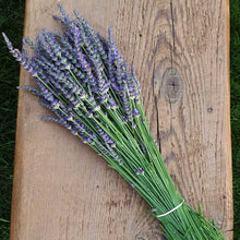 Load image into Gallery viewer, Tea with the Bees - Organic Lavender Chamomile