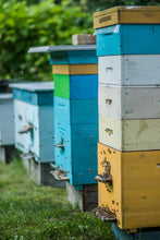 Load image into Gallery viewer, Bee Pollen - Dietary Supplement