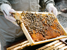 Load image into Gallery viewer, Bee Pollen - Dietary Supplement
