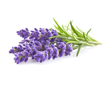 Load image into Gallery viewer, Honey & Hive Hand Soap- Foam Pump-Lavender and Lemon