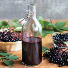 Load image into Gallery viewer, DIY Elderberry Syrup Kit
